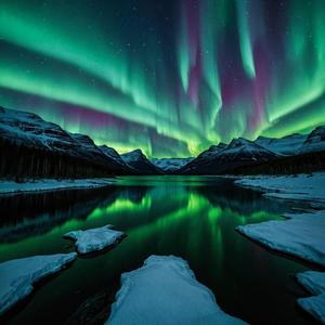 Northern Lights (feat. Yung Vision)