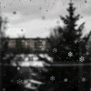 你眼里的雪 我肩上的霜
