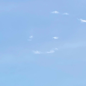 バカなフリをしてる