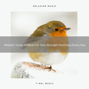 Gentle Noise Of Tweets For Calm Down And Come Back