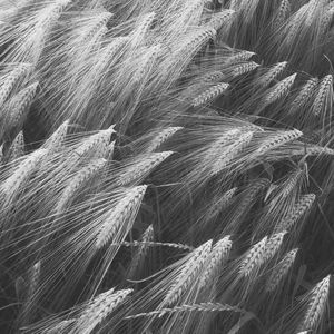 柔和的放松时刻