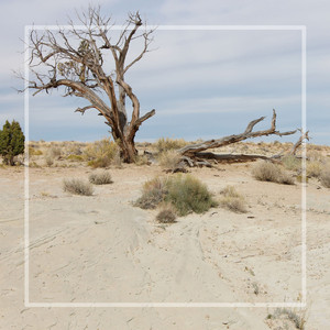 명상을 통한 행복감 상승