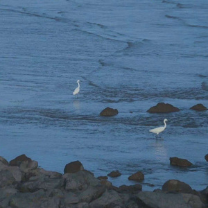 予以温柔追之以舟