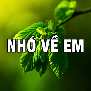 Nhớ Về Em (Tone Nam 1)