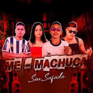 Me Machuca Seu Safado (feat. Mc Aninha) (Brega Funk)