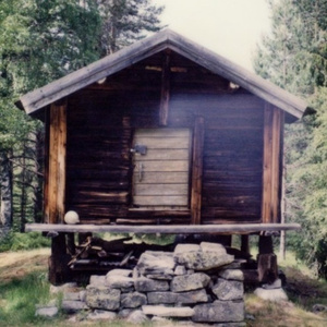 cabin fever (acoustic)