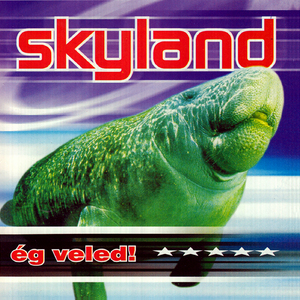 Jó ez a buli (Big beat edit)