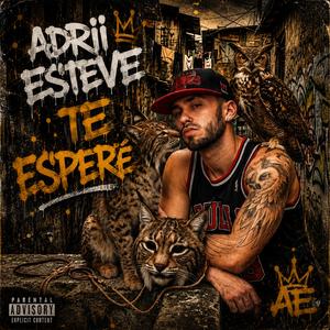 TE ESPERÉ