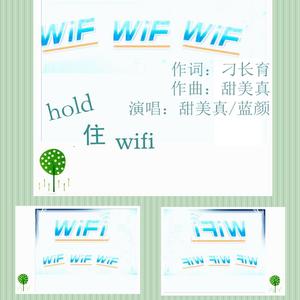 hold住wifi