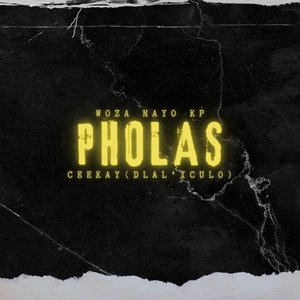 Pholas