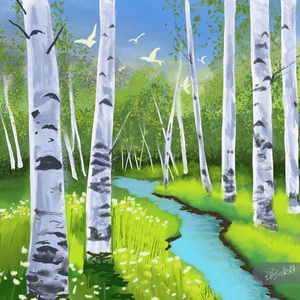 Walk in Birches