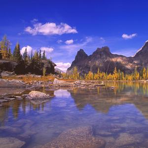 这大概就是你爱她吧