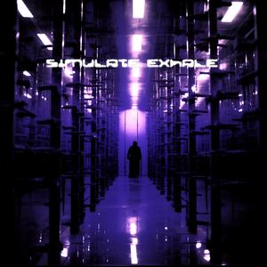 Simulate, Exhale