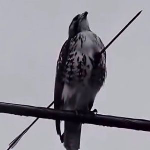 我要红遍天