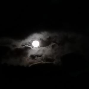 我也爱你SVID_20220330_135435_1_2022-03-30_135645