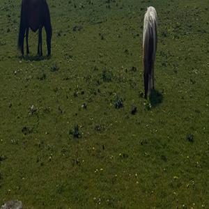 TOKYO (Unmixed Demo)