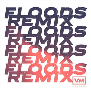 Floods (Remix) [feat. Raiah Granchukoff]