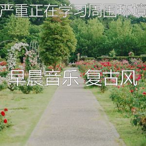 抚慰的假期回忆