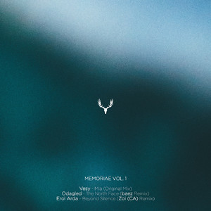 The North Face (baez Remix)