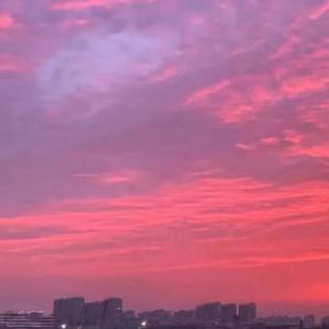 蛋蛋侠客778（5）