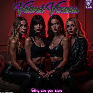 Velvet Vixens (Why are you here)