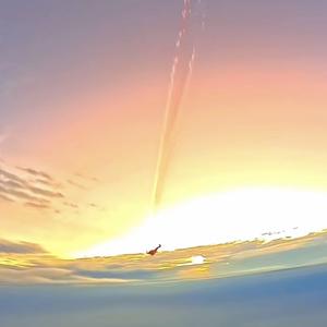 月亮睡了你不睡