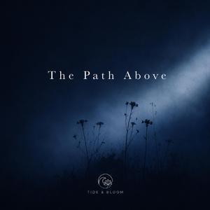 The Path Above