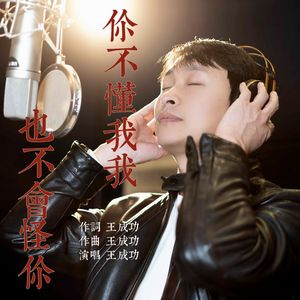 你不懂我我也不会怪你-王成功