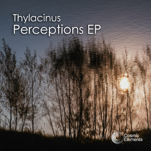 Open Your Mind and Realise (Original Mix)