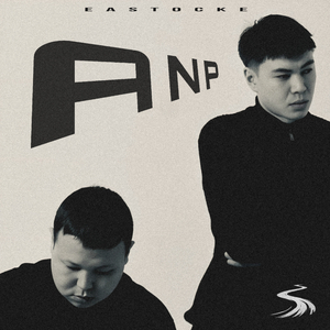 ANP (Eastocke)