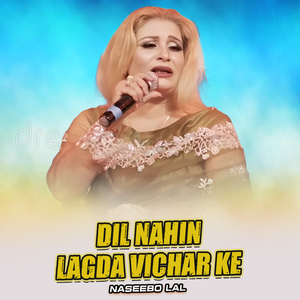 Dil Nahin Lagda Vichar Ke (1)