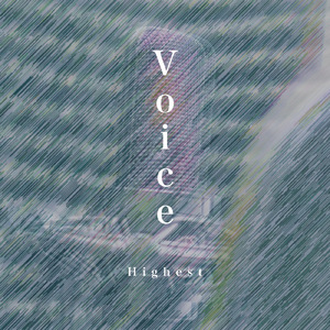 Voice