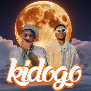 Kidogo