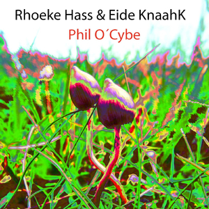 Phil O´cybe