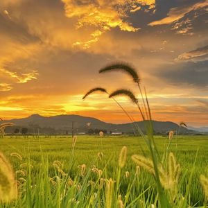 谢谢你赠我这场迷路