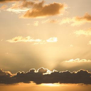 アキンボメロディー