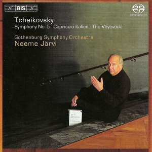 Symphony No. 5 in E Minor, Op. 64, TH 29: II. Andante cantabile, con alcuna licenza