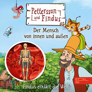 Der Mensch von innen und außen - Teil 16