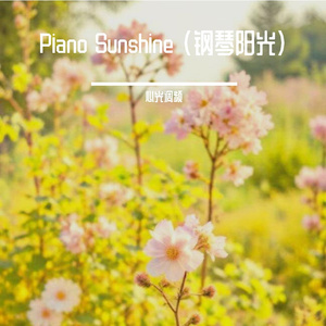 Summer Memories（夏忆）