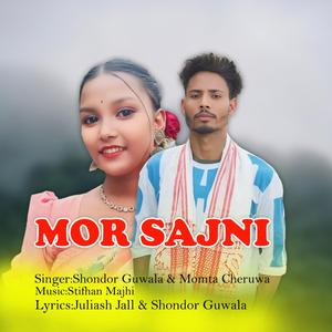 Mor Sajni