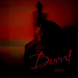 Burnt Sienna (feat. Sanjay Sugumaran)