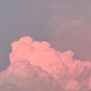 受戒