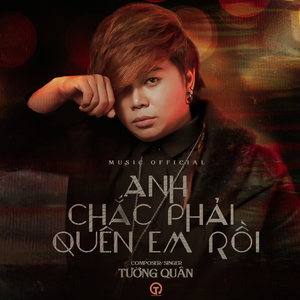 Anh Chắc Phải Quên Em Rồi