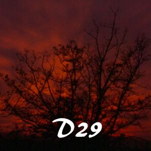 D29