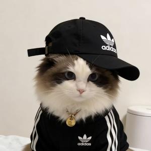 看似来得及，实则无能为力