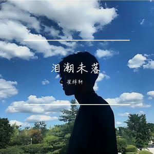 泪潮未落