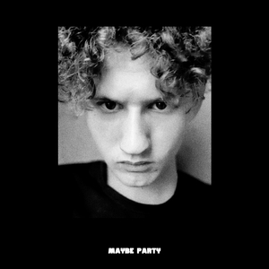 Maybe Party
