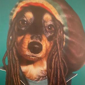 High Tymes (feat. Spiffy Jake)