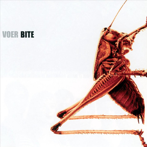 The Bitch (feat. Afra Mussawisade, Jeroen van Vliet, Mark Haanstra & Eric Hoeke)