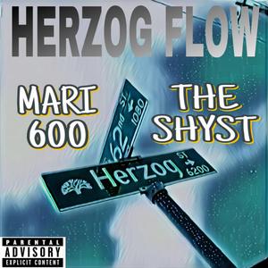 HERZOG FLOW